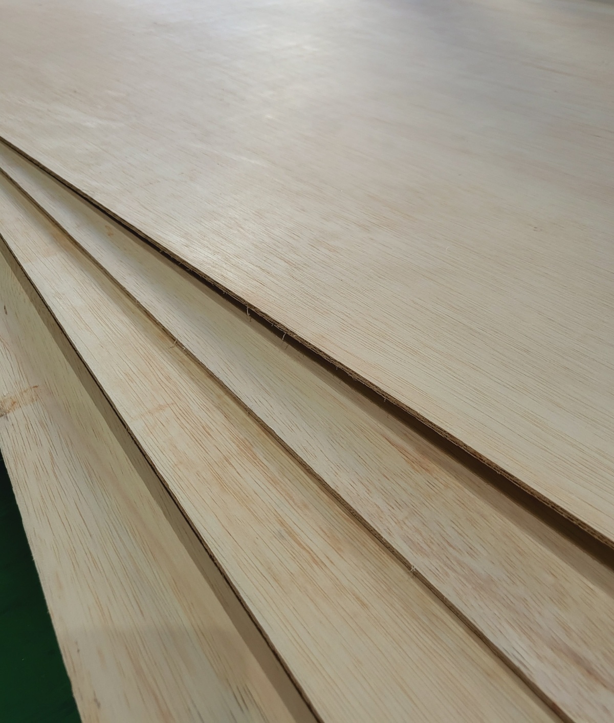 2000769928_WUz1T50f_1896c44b248c108720b70f1639dfd2ebef090afc.jpg 이미지크게보기