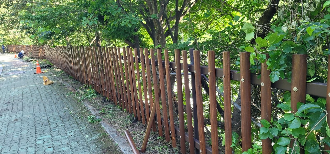 /user/w/woody/editor/2308/638d0d05308a4e756c24acef883d4314_1691481619_0681.jpeg 이미지크게보기